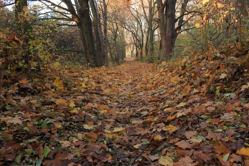 고혈압 낮추는 방법