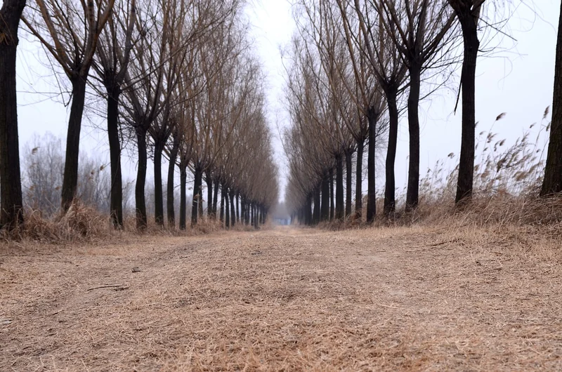고혈압 낮추는 방법