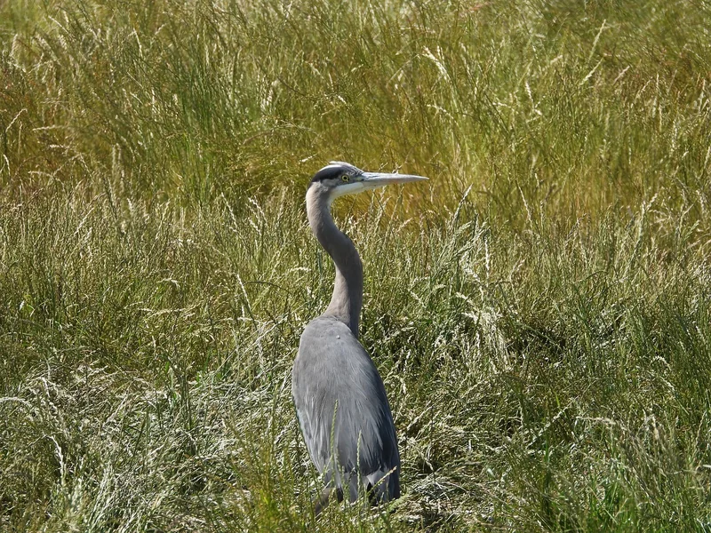 소상공인 지원금 신청