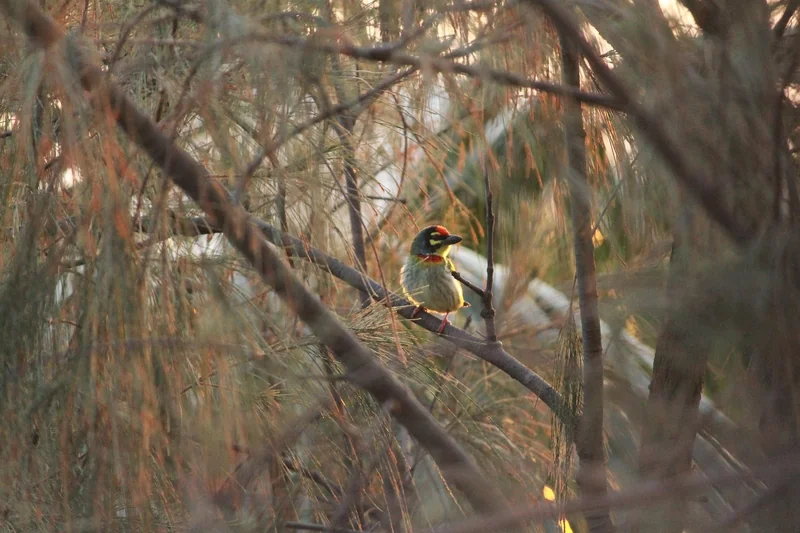 소상공인 지원사업 냉난방기