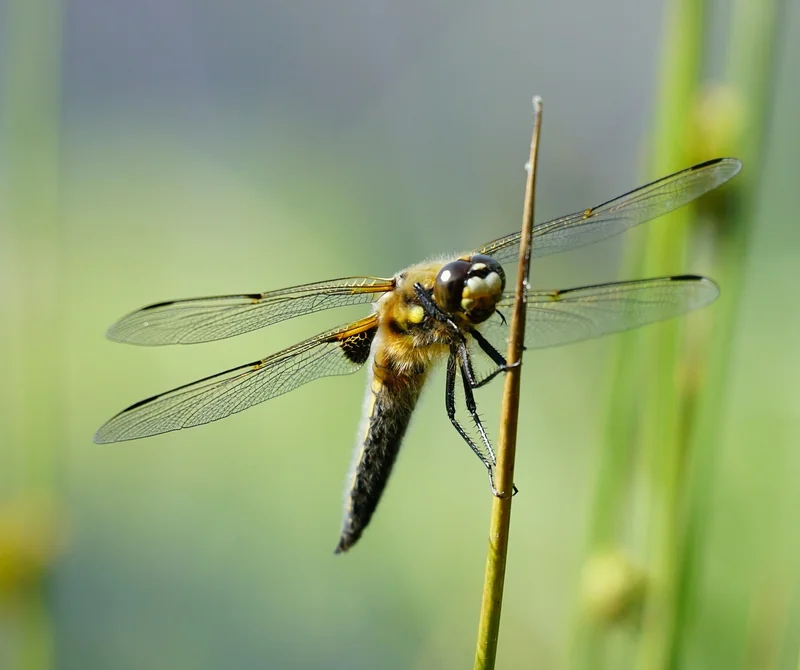 소상공인 지원사업 에어컨