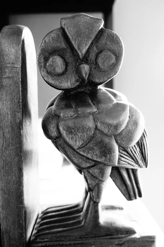 소상공인 특별지원금