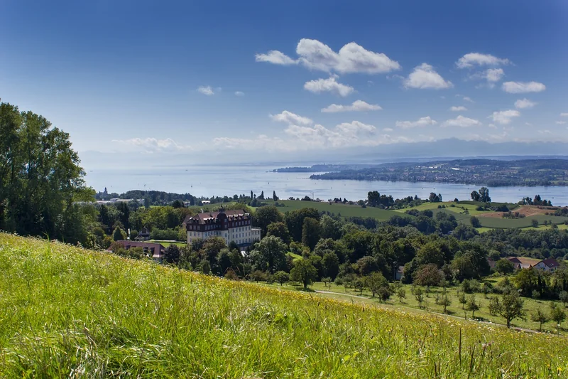 소상공인지원금