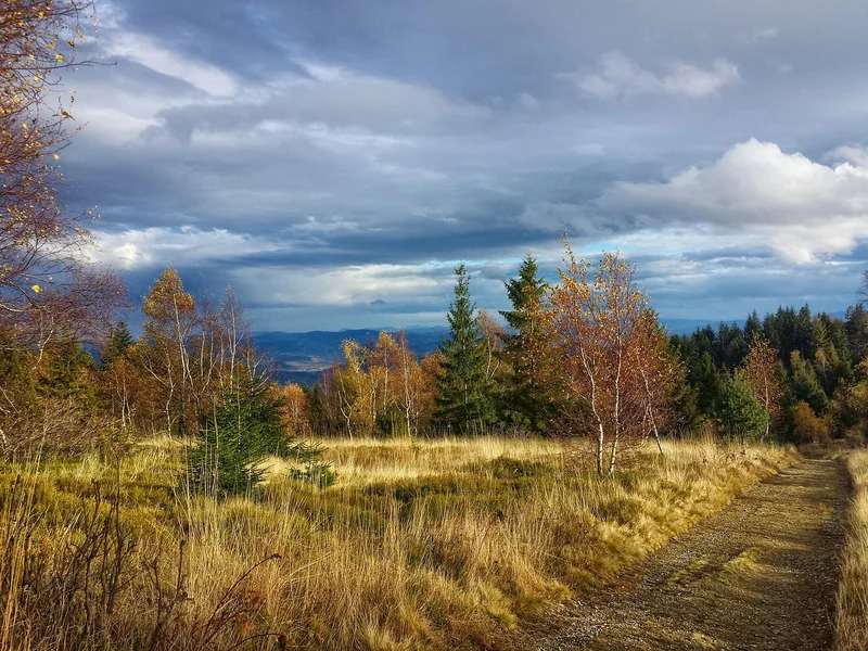 콜레스테롤 낮추는 방법