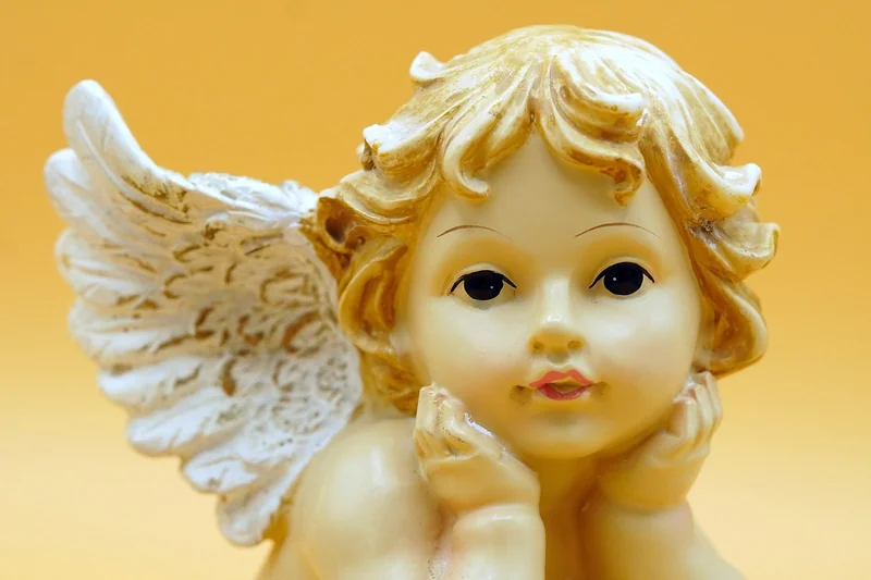 콜레스테롤 수치