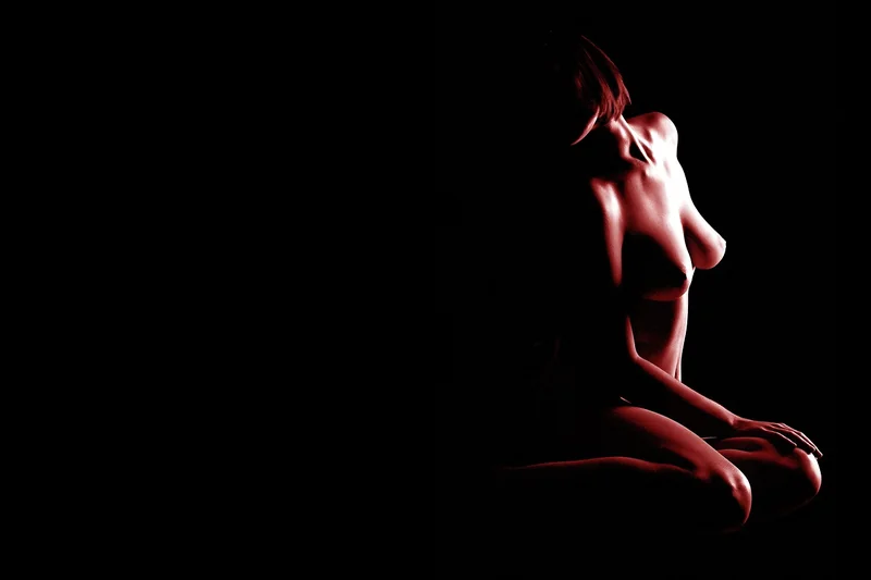 콜레스테롤 수치