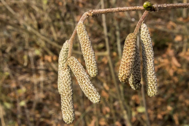 환절기 피부 알레르기