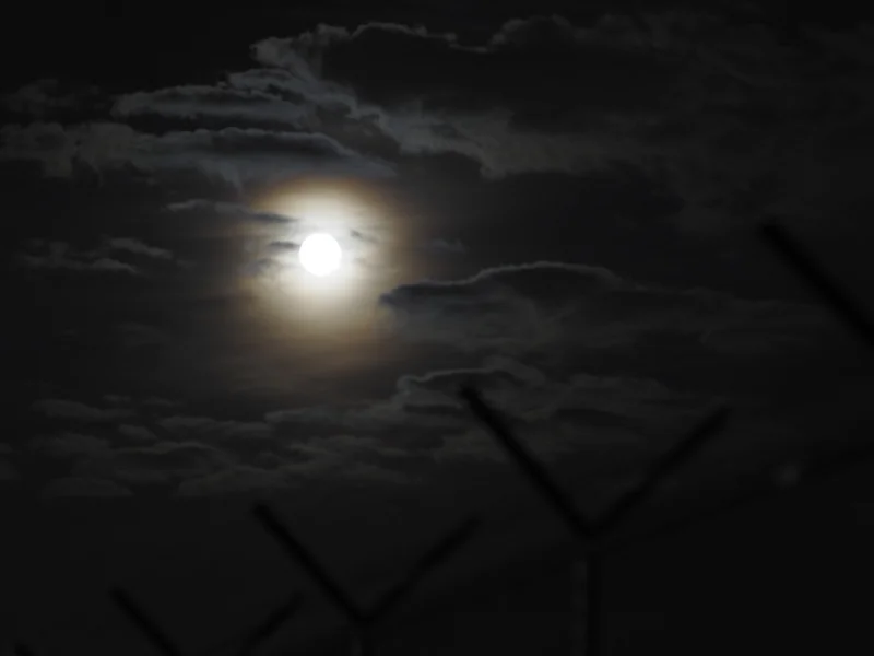 skt 유심 예약