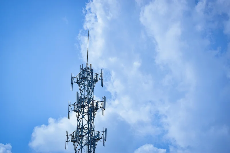 국가예방접종 조회