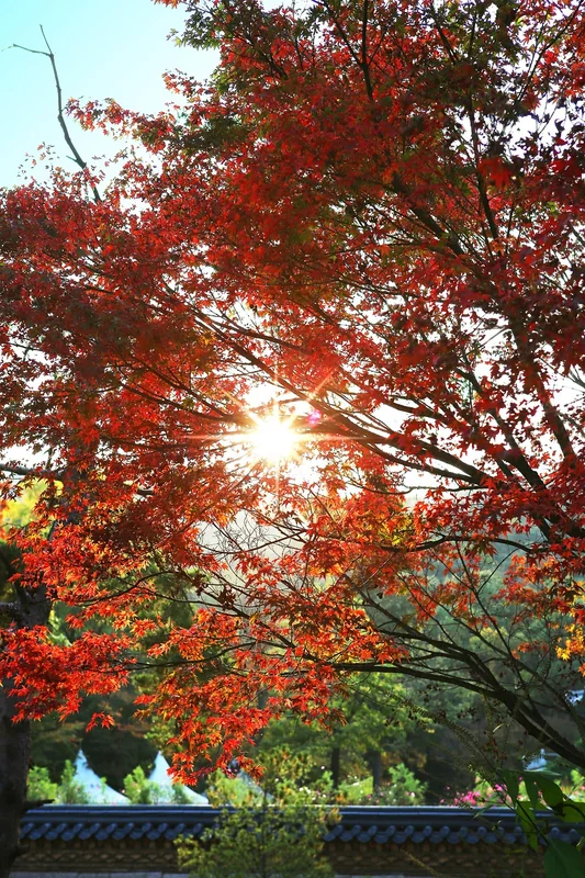 근로자햇살론 재대출
