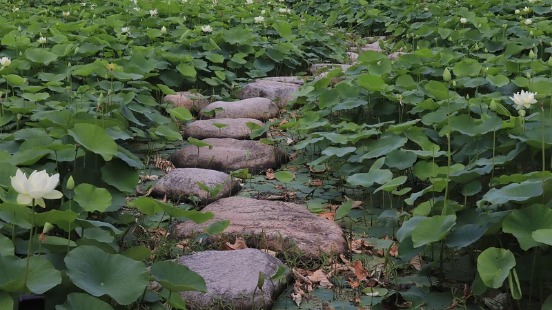 실비보험 해지 방법