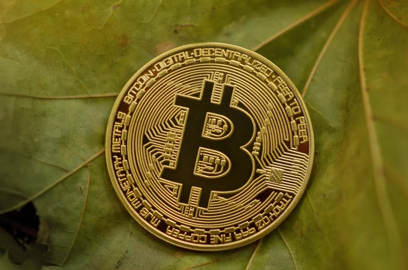 usdt 코인