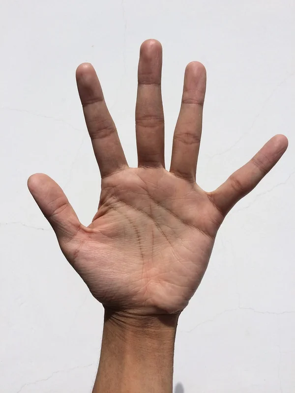 으뜸효율 환급