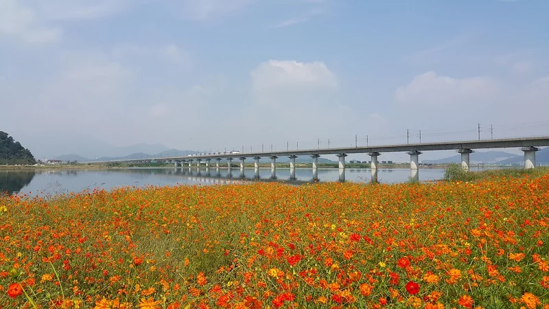 추석 ktx 예매 후기