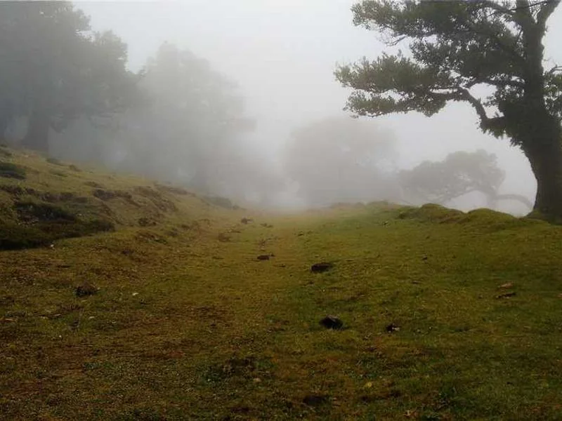 kt 선택약정할인