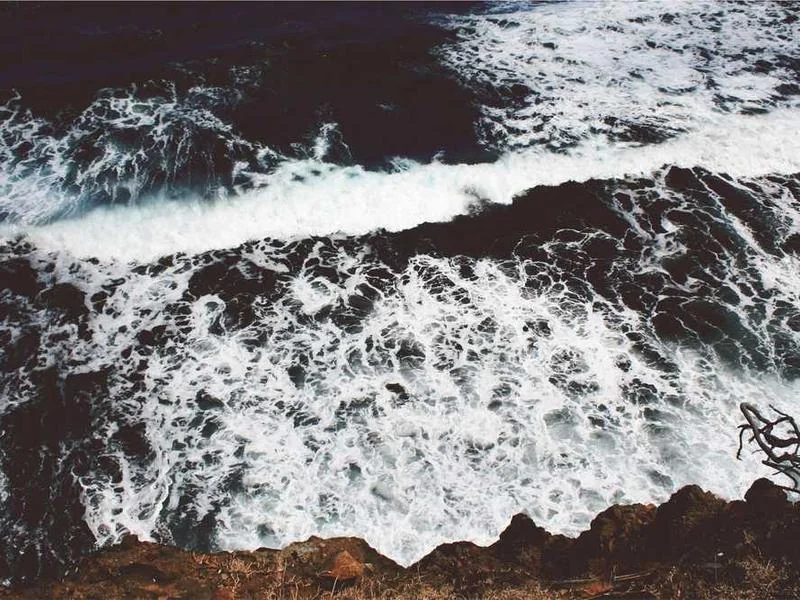 원익홀딩스 주가지수