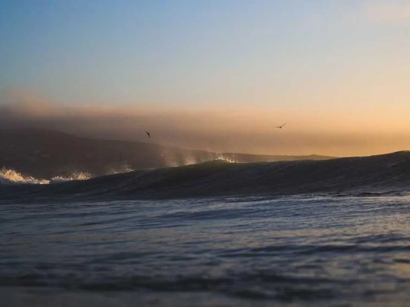 원익홀딩스 투자경고 기간