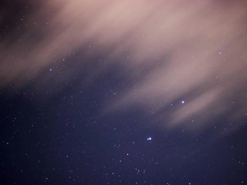 원익홀딩스 투자경고 기간