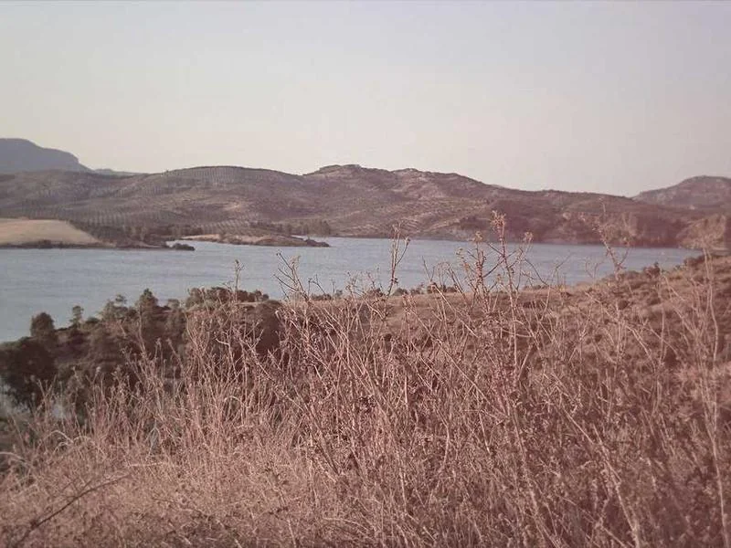 킹콩티비 시청