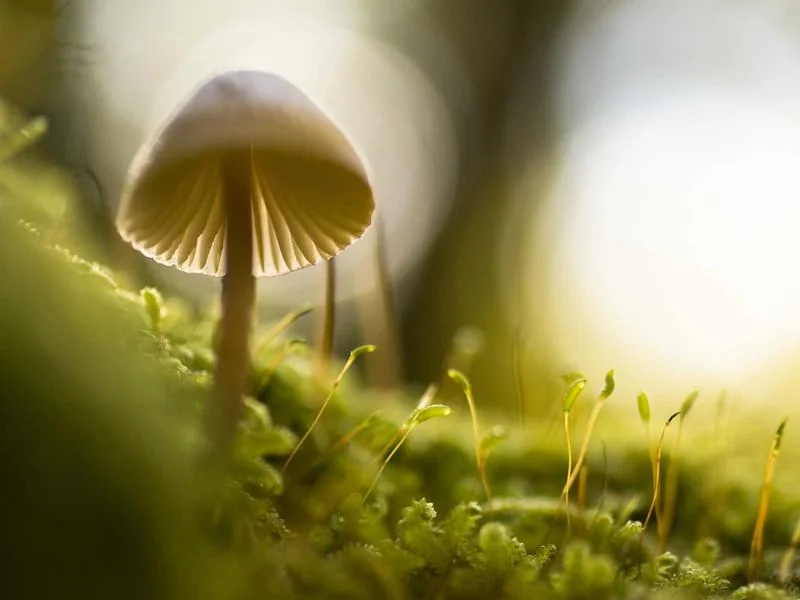 지역사랑 휴가지원제 신청하는법