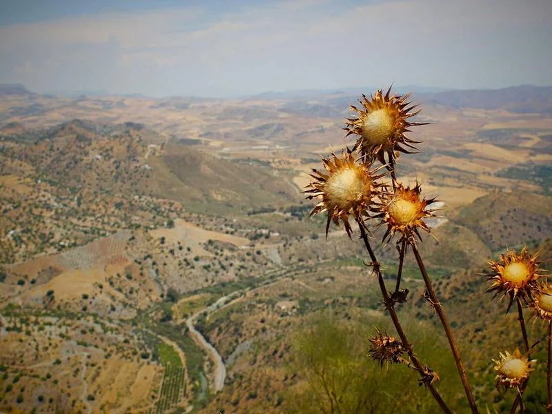 지역사랑 휴가지원제 제천 신청