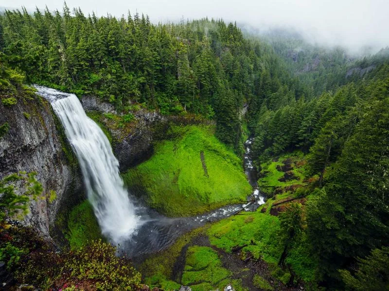 지역사랑 휴가지원제 확인방법