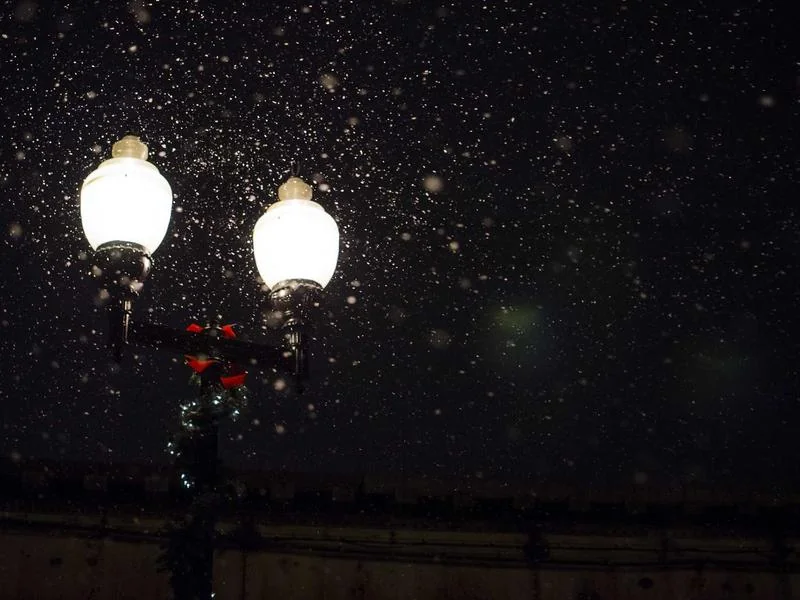 지역사랑 휴가지원제도 신청