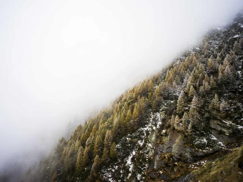 고유가 지원금 건보료