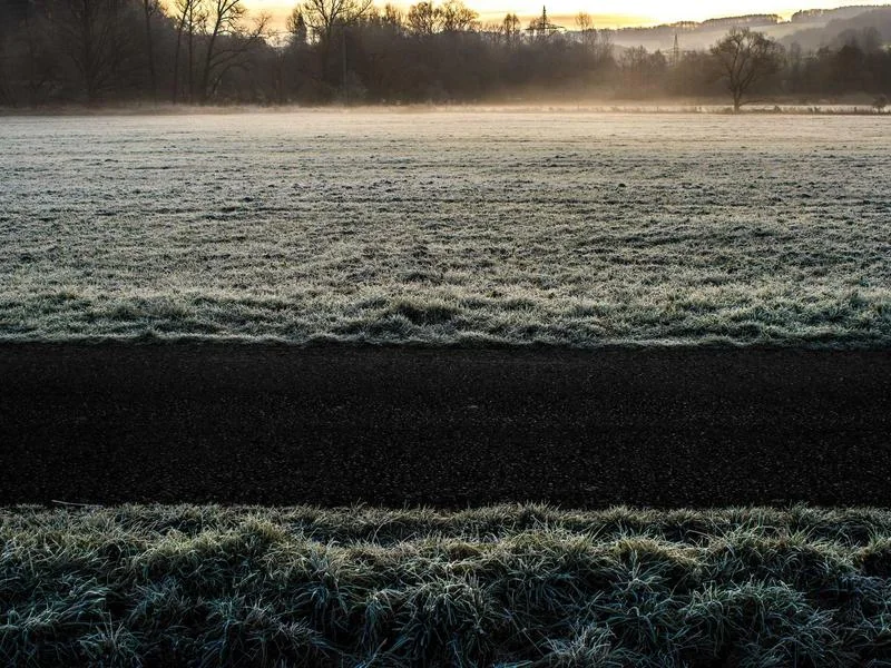 고유가 지원금 건보료