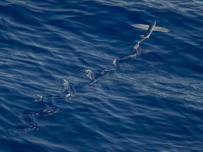 고유가 지원금 기준