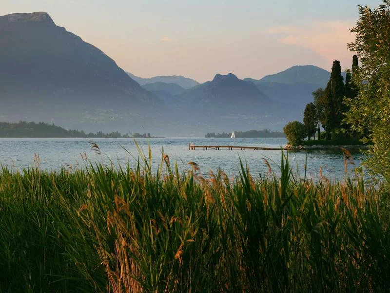 고유가 지원금 대상