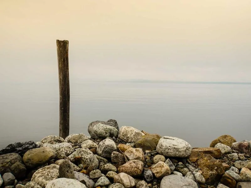 고유가 지원금 대상