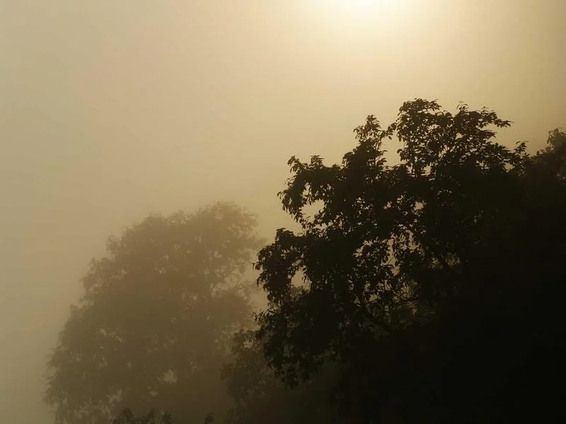 고유가 지원금 대상