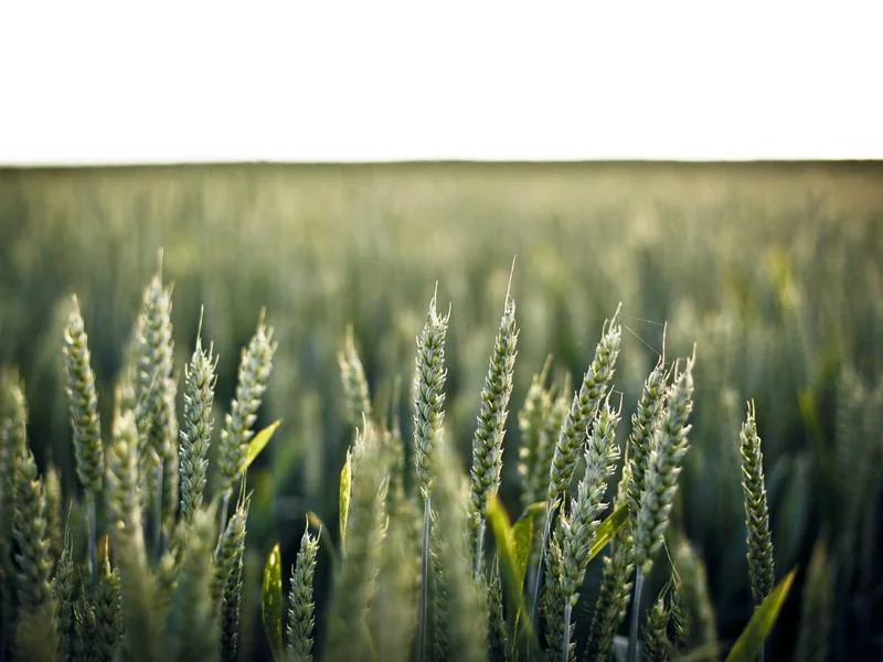 고유가 지원금 신청