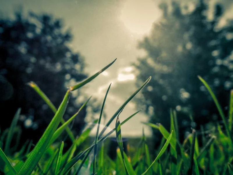 고유가 지원금 신청기간