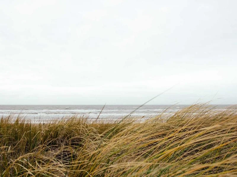 고유가 지원금 신청기간