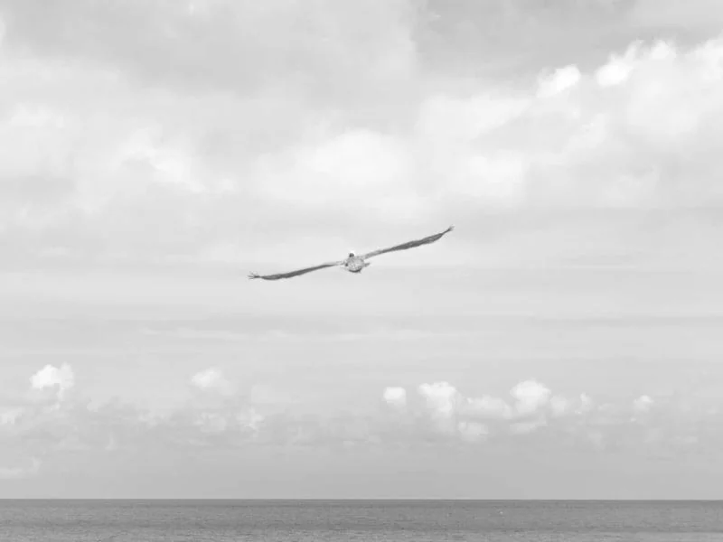 고유가 지원금 신청기간