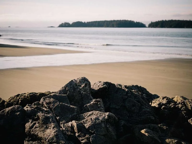 고유가 지원금 신청기간