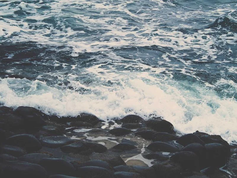 고유가 지원금 신청방법