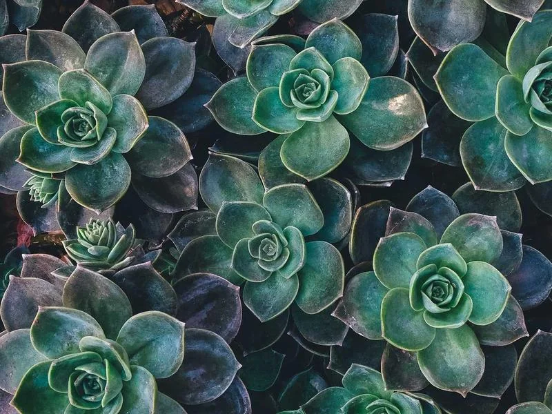 고유가 지원금 신청방법