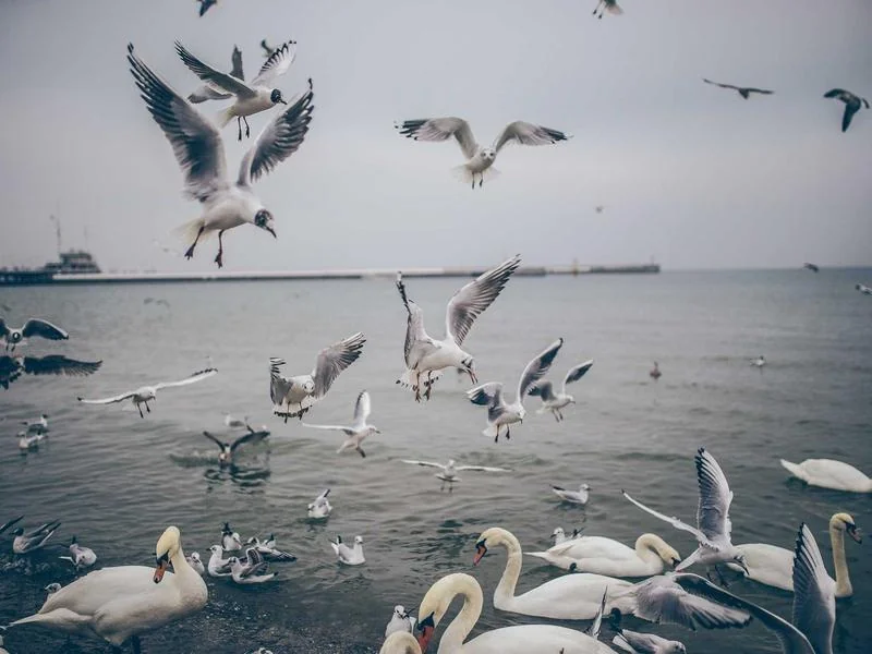 고유가 지원금 신청일