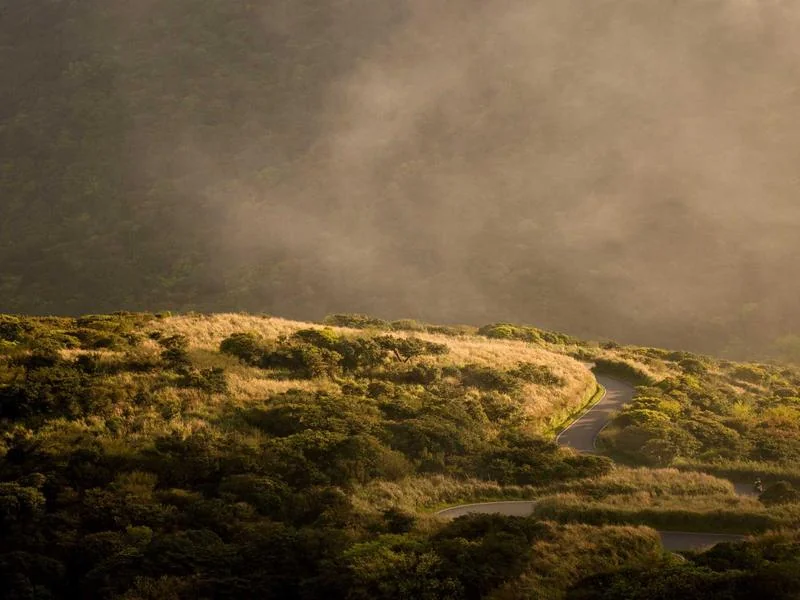 고유가 지원금 신청일