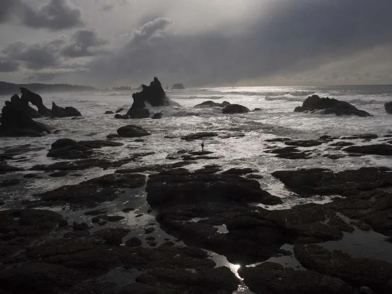 고유가 지원금 신청일