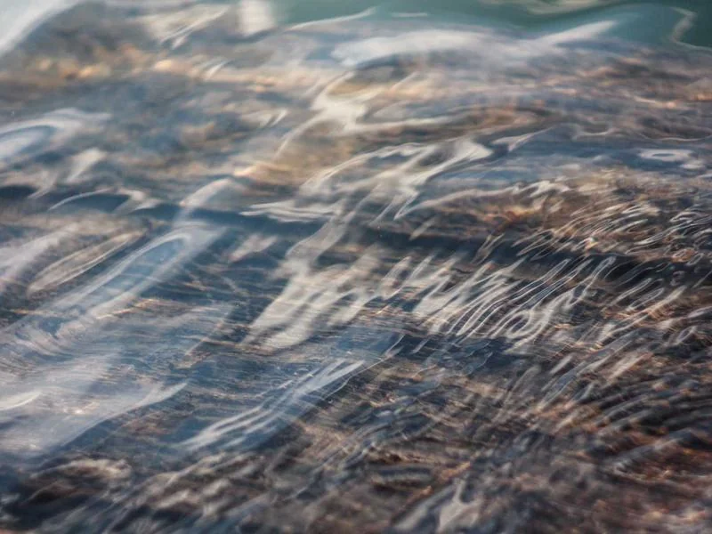 고유가 지원금 지급일