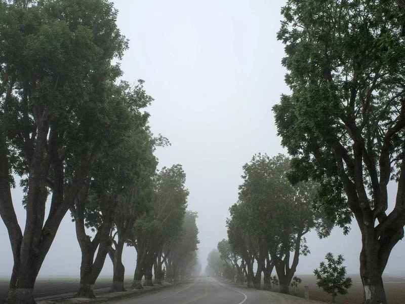 고유가 지원금 지급일