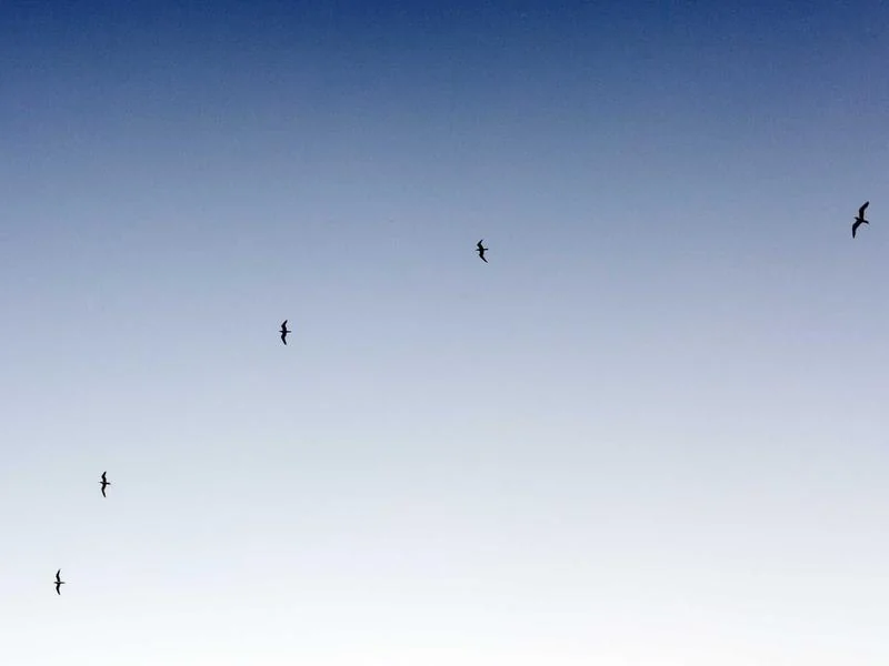 고유가 피해지원금 대상