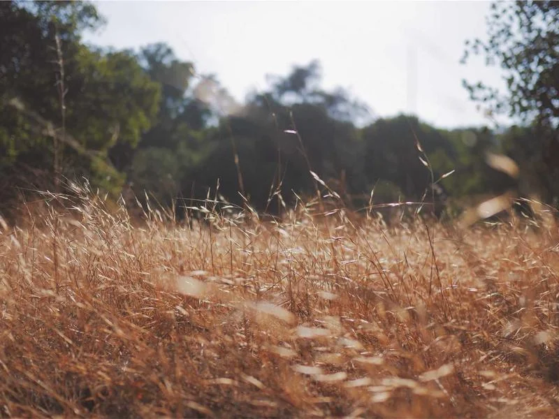 국세환급금 조회 토스