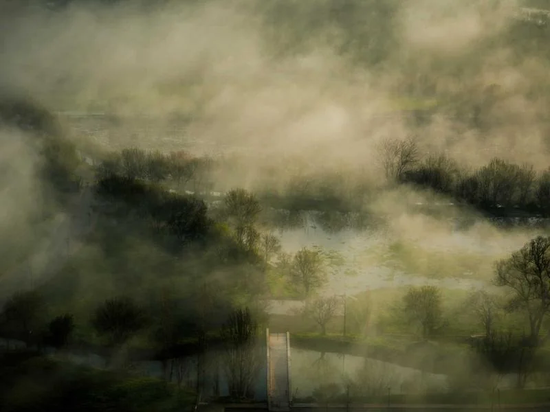 국세환급금 충당